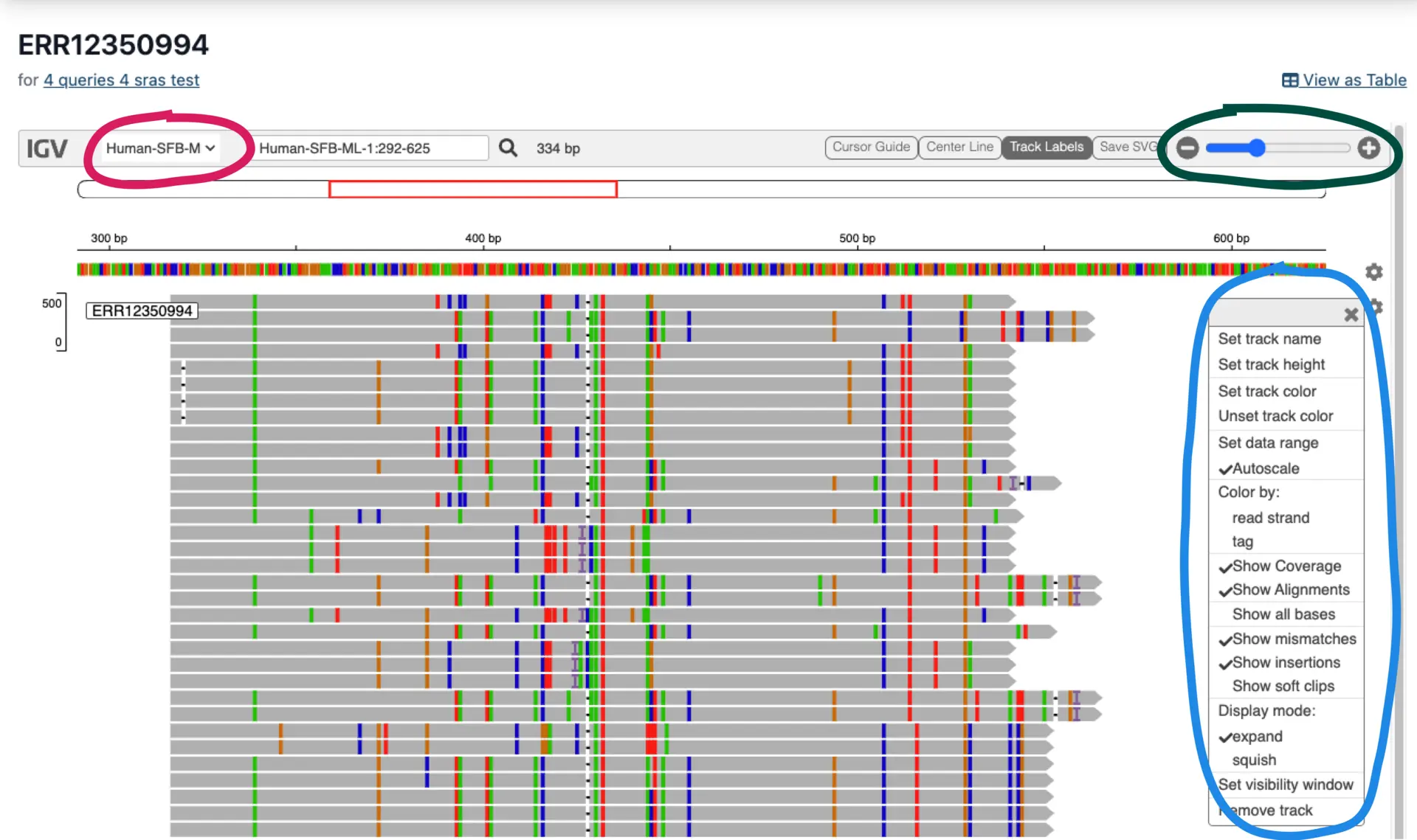 You can explore your SRA BLAST hits in the interactive genome browser. Zoom in to specific regions, toggle viewing options, and extract a deeper understanding of your results quickly.