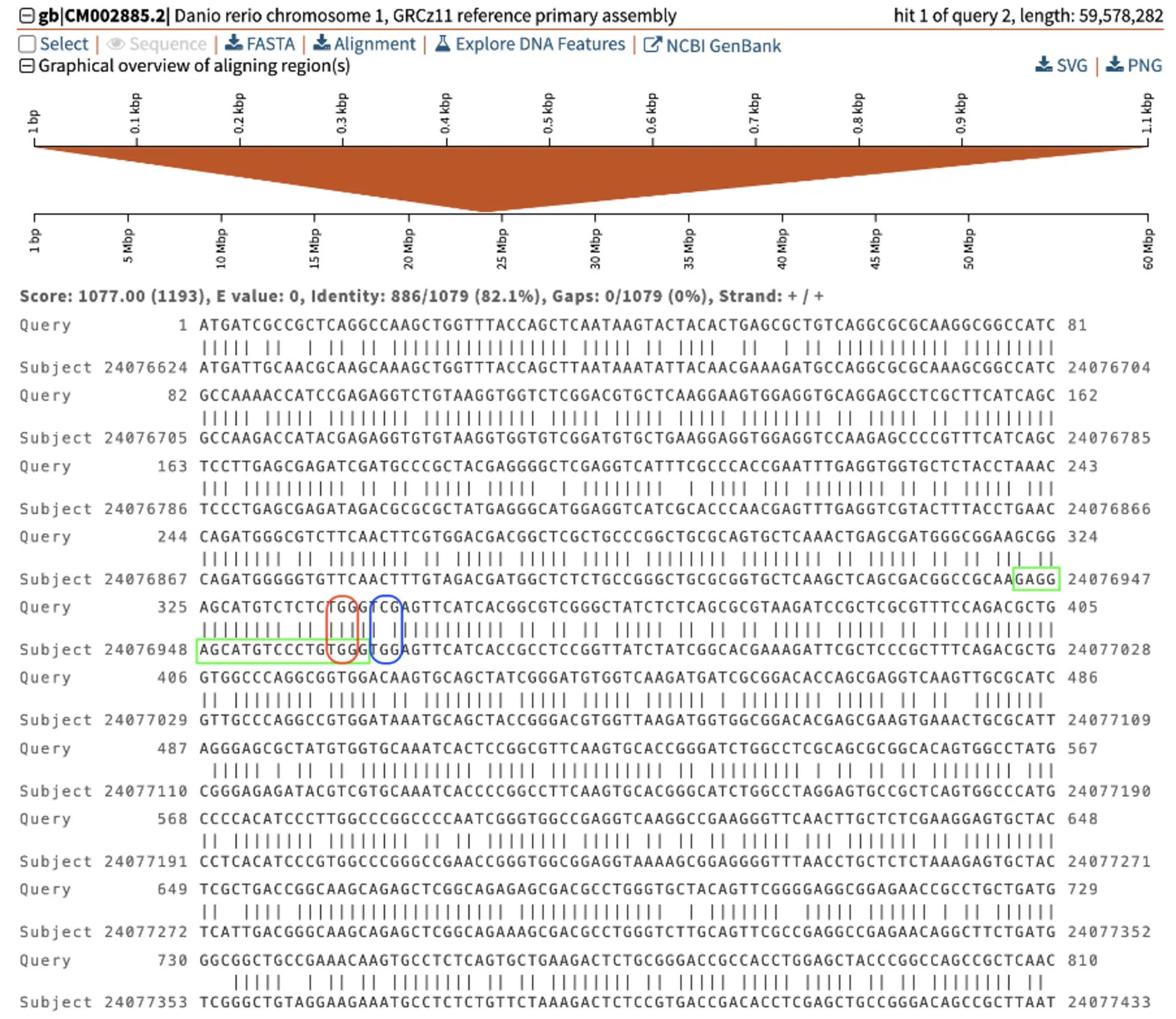 BLASTing the gene sequence to the genome is a method for aligning the sequences. This help to identify the exact region that the sgRNA can be designed to target