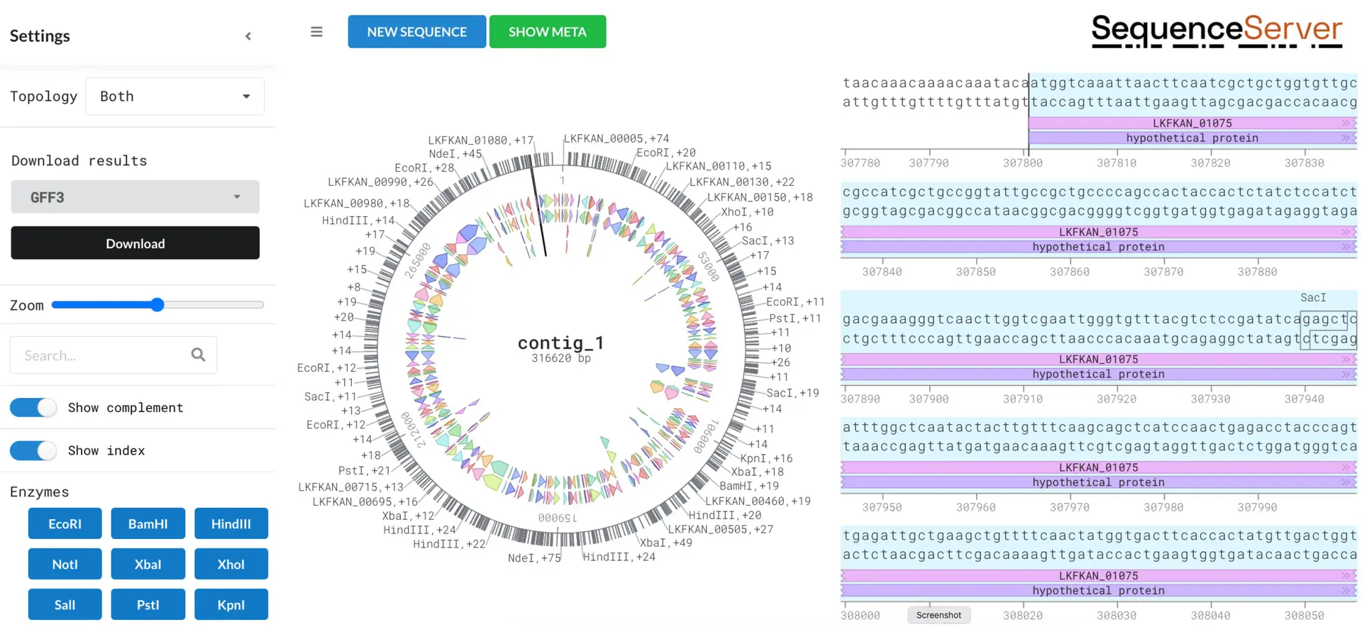 Genome annotation with SequenceServer cloud's DNA Visualization tool!