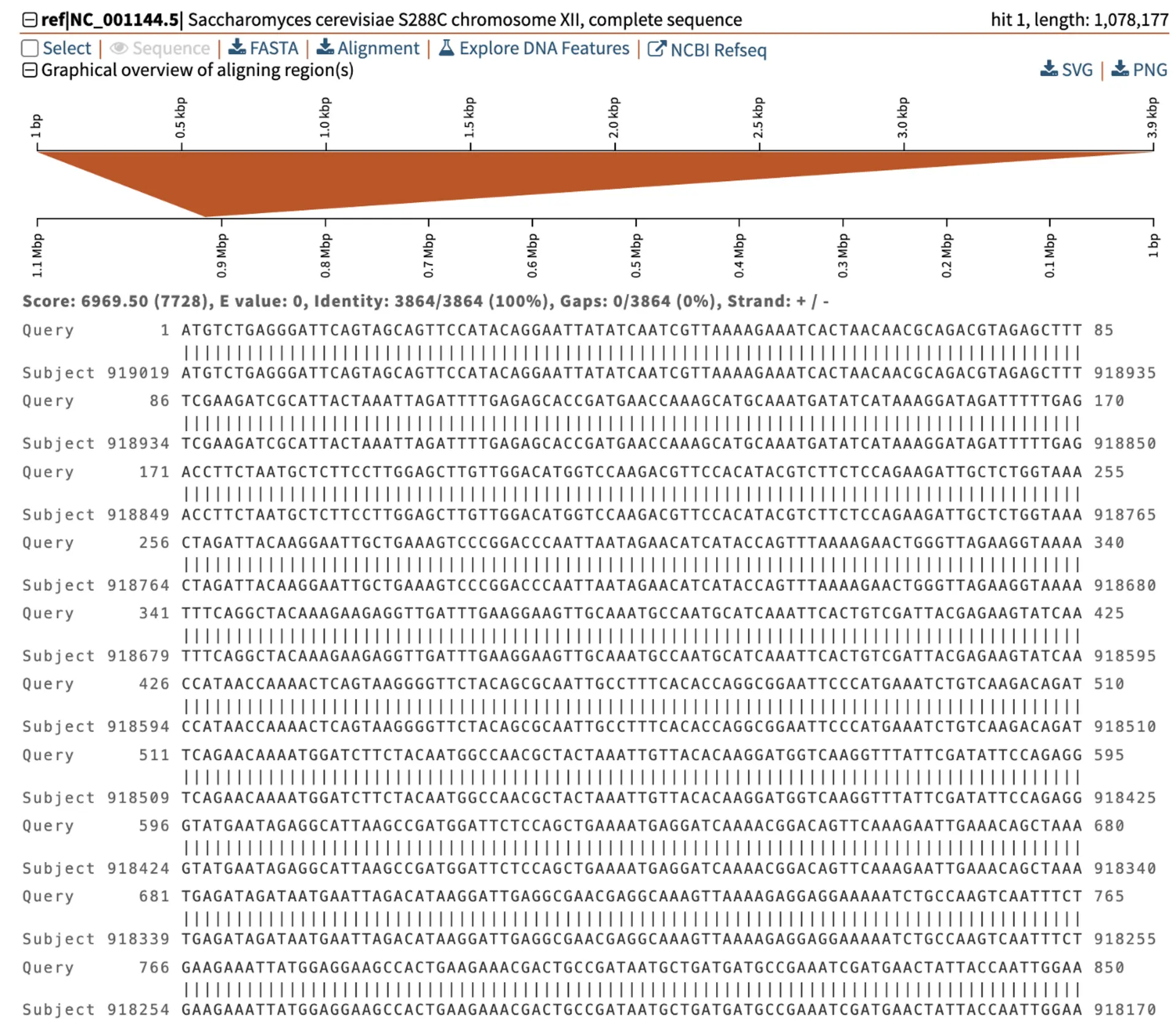 When BLAST alignment of gene to genome are strong hits then we get several indications. One is the dark red color of the graphical representation of the alignment; another is the identity score, which can be seen in the alignment below; and another is the E-value of zero.