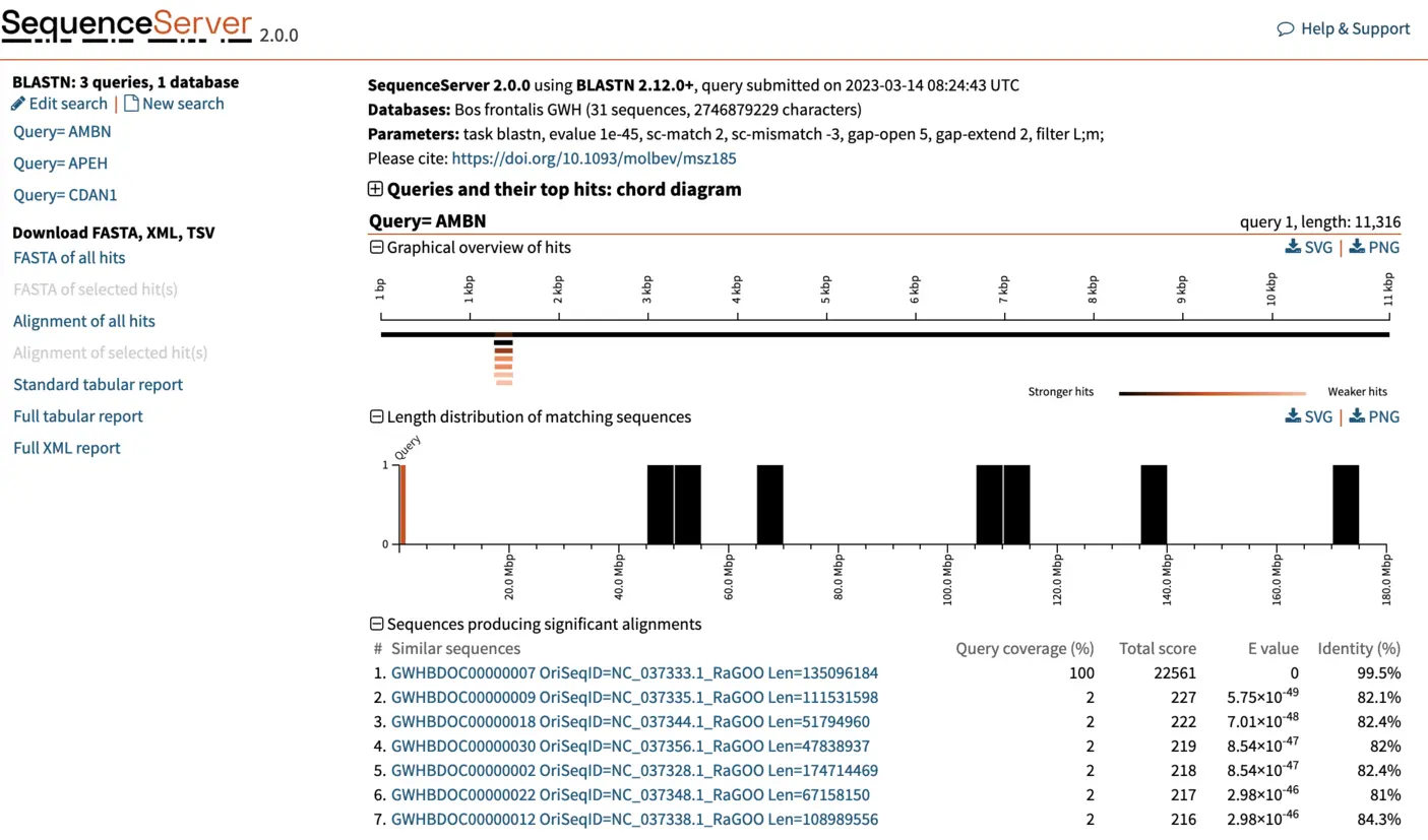 SequenceServer ouputs both the standard BLAST alignments visualizations as well as specific SequenceServer plots that help you understand your results.