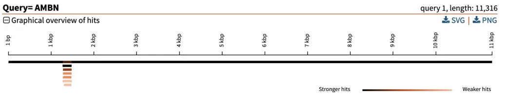 BLAST graphical overview of alignments show the position of the alignments and the e-value scoring.