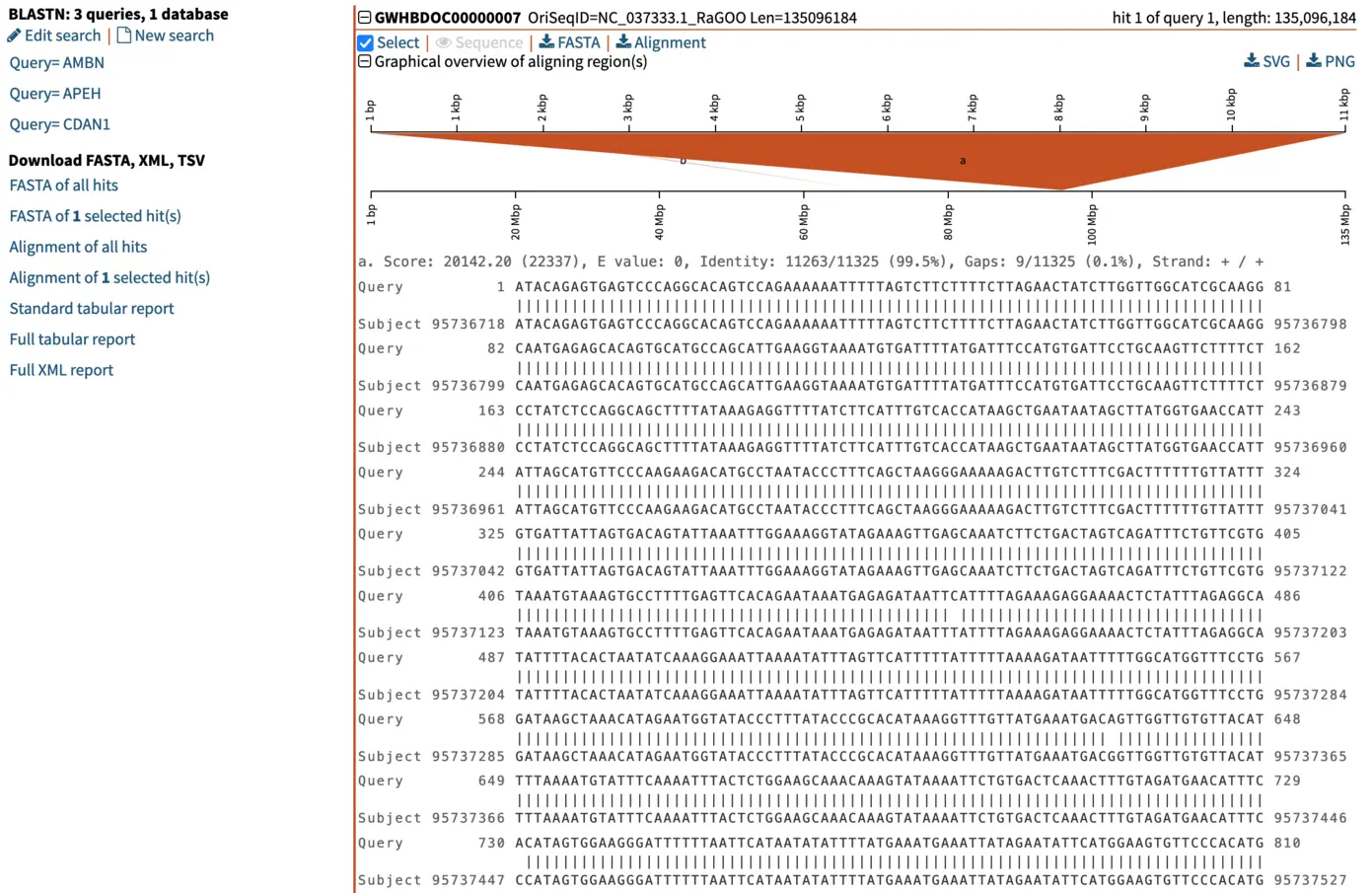 You can inspect the alignments of one gene mapped to one chromosome using the pairwise BLAST alignments. Alongside the graphical overview, you can get lots of information about your alignment like the position, the length, the score and much more.