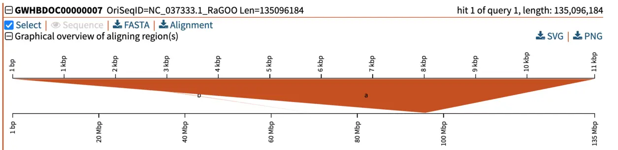 The graphical overview of each alignment allows you to easily see the length of each alignment along with the length of the query and subject.