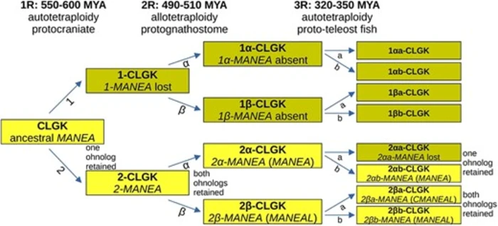 Furthering evolutionary understanding with SequenceServer