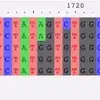 Identifying gene sequences in a new genome assembly using BLAST