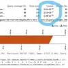 How BLAST E-values are calculated and what they mean