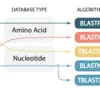 BLASTN, TBLASTX, BLASTP, TBLASTN, BLASTX - which should I choose?