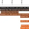 Identifying conserved protein domains to understand gene function