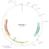 DNA feature exploration with the DNA Visualizer SequenceServer tool